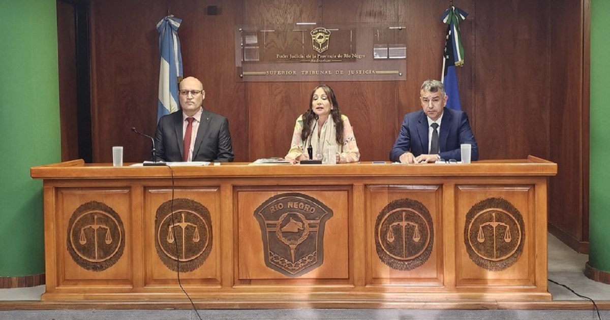 Anulo El STJ anuló un fallo del TI en Río Negro y lanzó una dura advertencia ...