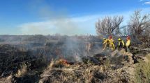 Imagen de Una quema ilegal provocó un grave incendio de pastizales en Chubut