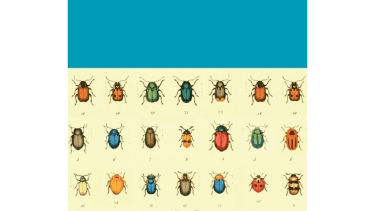 Libros: los recomendados y las novedades de la semana