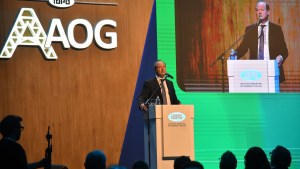 Las claves del mensaje que le llevó el gobierno de Milei a los empresarios petroleros en la AOG