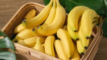 Imagen de ¿Cuántas bananas se pueden comer por día? Lo que dicen los nutricionistas 