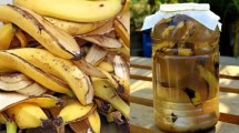 Imagen de Los beneficios de mezclar cáscara de banana con vinagre: ¿para qué se usa? 
