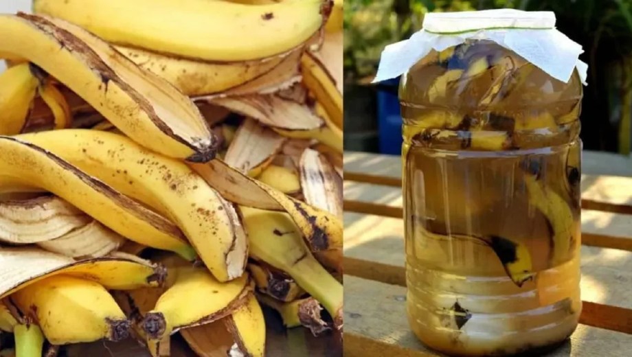 Cáscara de banana con vinagre.