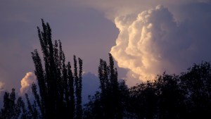 Martes en Neuquén y Río Negro: tardes primaverales antes de tormentas y ráfagas de viento