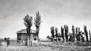 La Revolución del Riego III: Canal La Lucinda, motor de desarrollo y comunidad en el Alto Valle