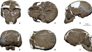 Hallan un cráneo milenario en China que abre incógnitas sobre la cronología de la evolución humana