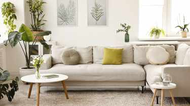 Las cuatro reglas sagradas que te ayudan a vivir mejor, según el Feng Shui