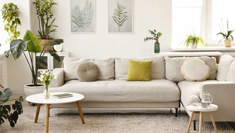 Cuatro reglas sagradas del Feng Shui.-