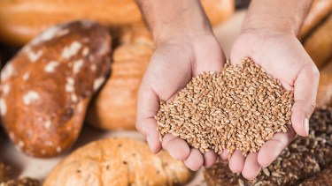 ¿Realmente es saludable eliminar el gluten?