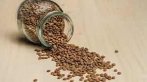 El mejor lugar para colocar un frasco con lentejas y atraer fortuna, según el Feng Shui