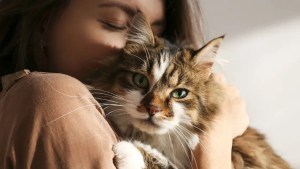 Qué significa que un gato llegue a tu casa según el color de su pelo  