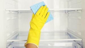 Limpieza: cómo funciona el truco del limón en la heladera