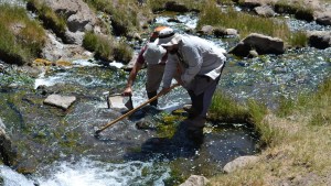 En las aguas termales del Domuyo, científicos descubren una nueva especie de crustáceo