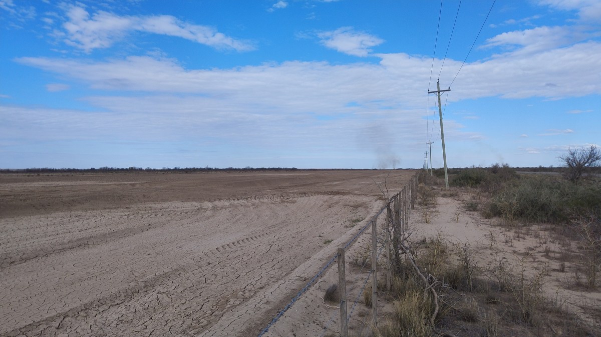 Lote desmontado y nivelado en el este de Río Negro.