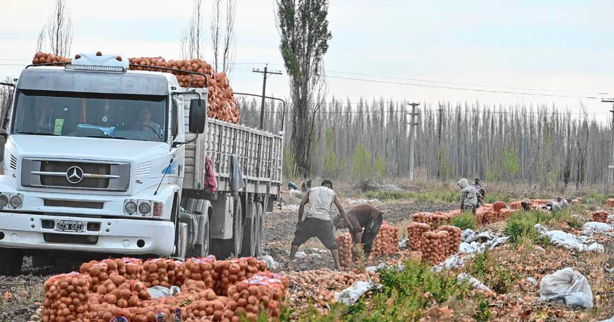 Oportunidad para la producción de hortalizas de la Patagonia en Brasil