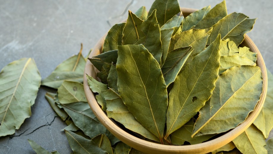 Laurel para la abundancia en primavera.