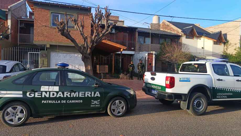 En la capital neuquina secuestraron más de 182 plantas de marihuana, tras hallazgos en colectivos.