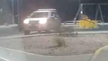 Fuerte multa para un joven de Cipolletti que hizo de un mirador de Neuquén un «circuito» para su camioneta