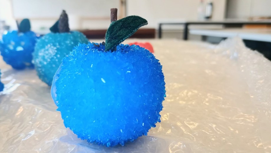 Las manzanas azules a partir de crear cristales fueron hechas por alumnos de la escuela de Valle Azul, Río Negro/ Crédito: ESRN N° 103. 