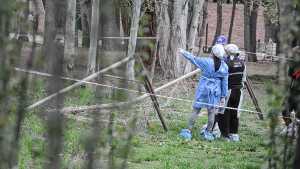 Dolor en Cipolletti por la muerte de un niño en un partido de la Liga Confluencia: «El fútbol infantil de luto»