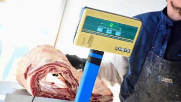 Barrera sanitaria: la Justicia recibió la caución, pero el Senasa no informa si suspende o no la polémica resolución