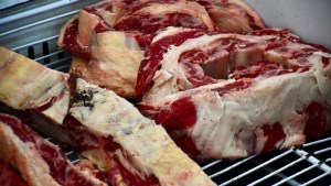 Chile restituyó el estatus sanitario a la ganadería de la Patagonia