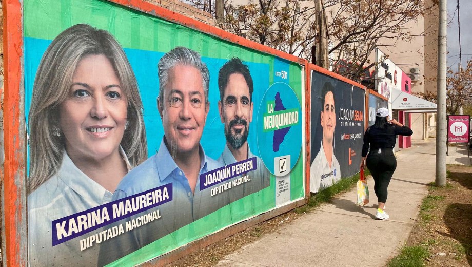 En Neuquén compiten ocho listas para las bancas de senadores y nueve para las de diputados. Foto: Matías Subat.