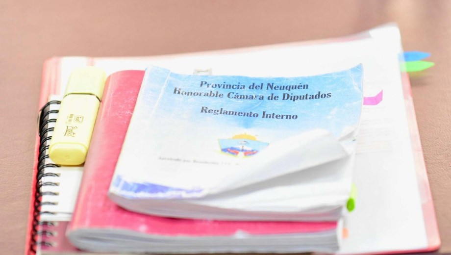 La Legislatura de Neuquén aprobó 39 leyes en lo que va del 2025. Foto: Matías Subat.