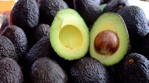 Imagen de Paso a paso: cómo cuidar la planta de palta para que dé frutos grandes y sabrosos