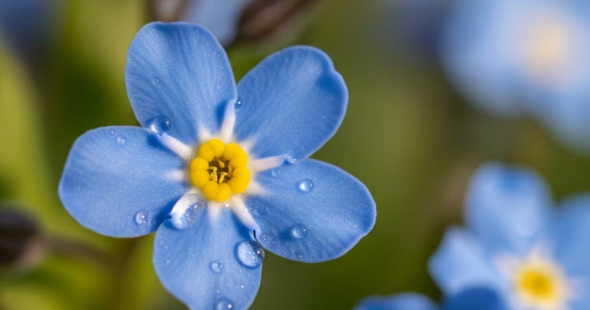 Consejos para cuidar jardines y huertas ante la humedad