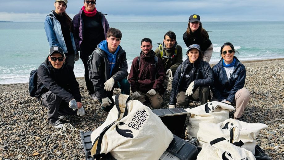 Estudiantes y docentes participaron de una jornada de limpieza en playas del golfo Nuevo. Gentileza Global Penguin Society. 