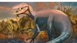 Descubren un dinosaurio carnívoro en Chubut: habría sido uno de los últimos depredadores