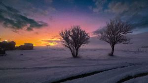 La historia de la fotógrafa de Clemente Onelli que vuelve visible lo invisible