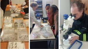 El Laboratorio de Plagas frutícolas de Patagonia Norte se sumó a la Red Nacional