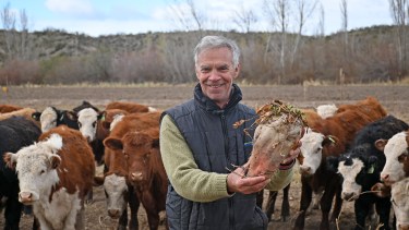 Soñaban con un campo en la Patagonia, pero nunca imaginaron lograr 2.500 kilos de carne por hectárea a campo