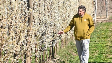 La fruticultura le dio revancha en el Alto Valle: «De grande, tuve la posibilidad de empezar de vuelta»