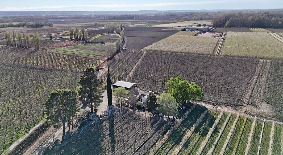 Las chacras de Casa Rosetani en Río Negro. Foto: Florencia Salto.