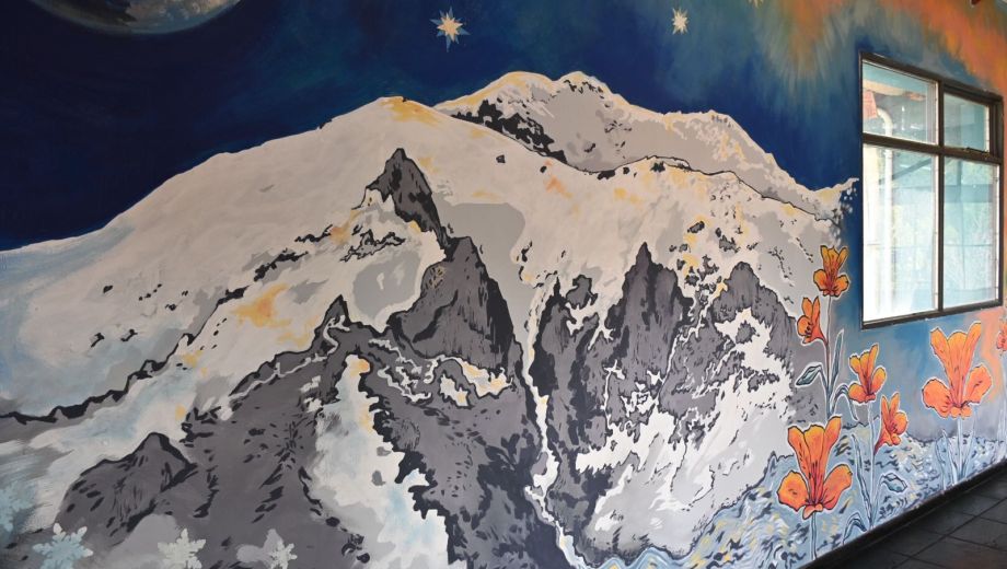 El mural de la artista Liliana D´Urzo en el Centro Regional Universitario Bariloche (CRUB). Foto: Chino Leiva