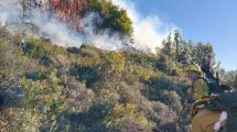 Imagen de Incendio forestal en el cerro Montura: una quema de matorrales generó caos, pero lograron frenar el avance del fuego