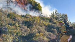 Incendio forestal en el cerro Montura: una quema de matorrales generó caos, pero lograron frenar el avance del fuego