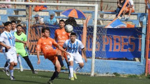 Regional Amateur: tres equipos de Río Negro recibieron licencias para jugar el torneo