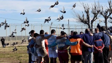 Histórico: el equipo de presos de la Unidad 11 se enfrentará al Neuquén Rugby fuera de la cárcel