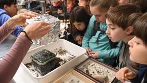 Una apuesta al futuro: los científicos promueven el encuentro con estudiantes de primaria y secundaria