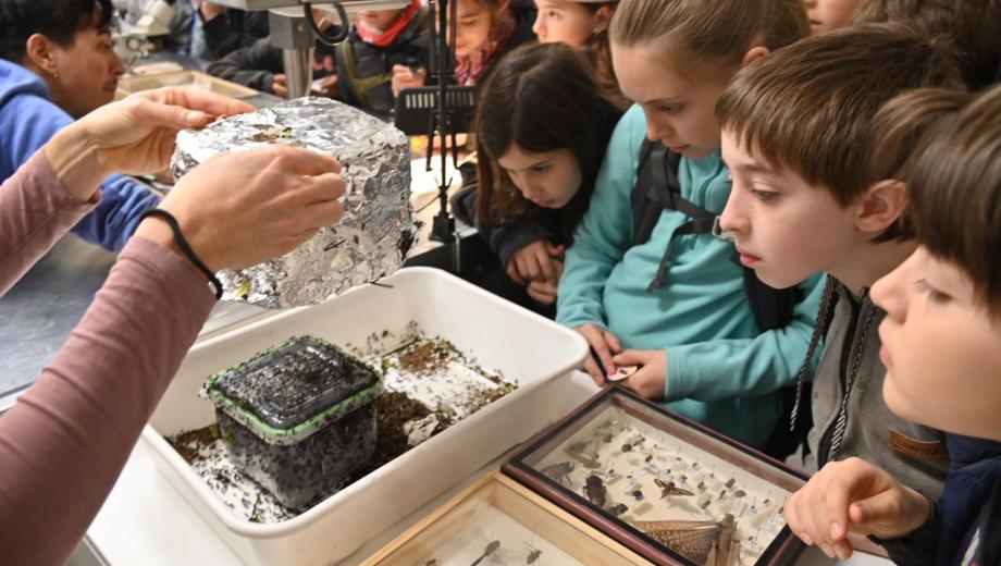 Curiosidad, asombro y fascinación entre los chicos. Foto: Chino Leiva