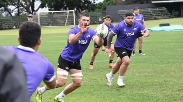 Los Pumas llegan con confianza al cruce con Sudáfrica por el Rugby Championship: «Vinimos a ganar»