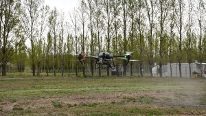 Los drones ya sobrevuelan los frutales del Valle