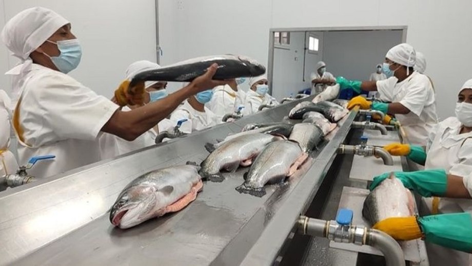 La oficina recibirá productos acuícolas inicialmente. Foto: gentileza. 