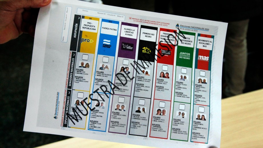 La Boleta Única de Papel de Río Negro se estrenará el 26 de octubre. Foto: Archivo/Marcelo Ochoa