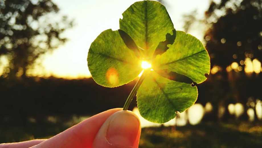 Tres rituales que atraen la buena suerte, según el Feng Shui.-