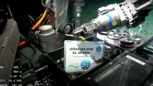 Cuenta regresiva para la expedición del Conicet en Río Negro y Chubut: ¿cuándo empieza y dónde se puede ver?